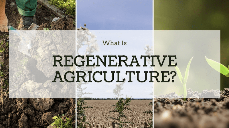 regenerative agriculture for farms and gardens