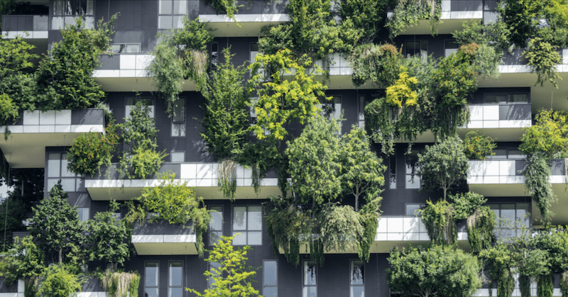 urban gardens in cities