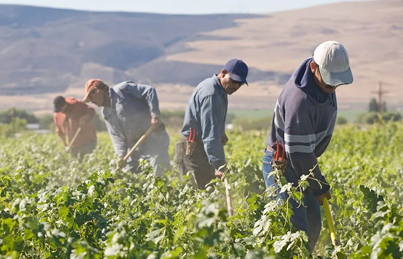 granja comunitaria growing to give