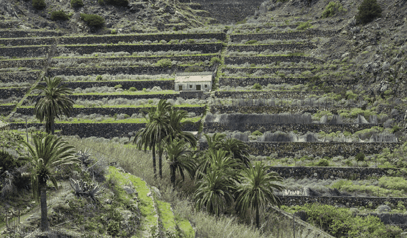 agricultura tradicional