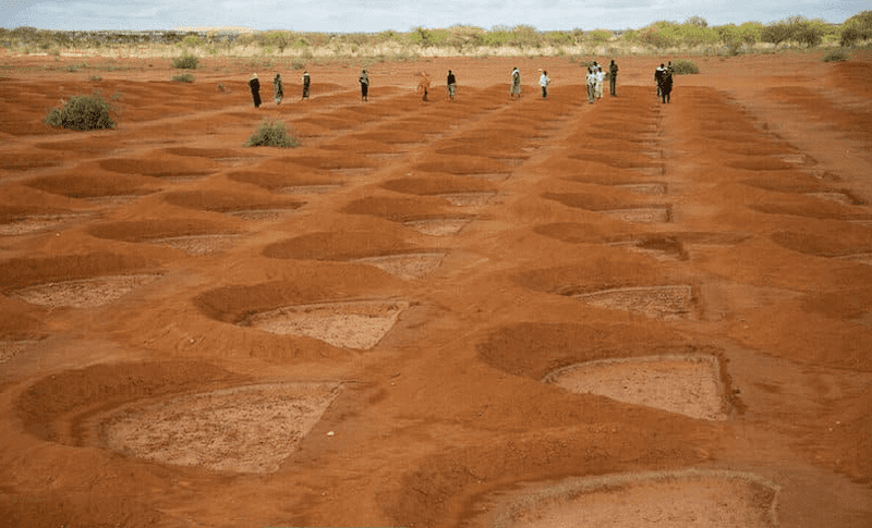 almacenamiento de agua de lluvia en el desierto