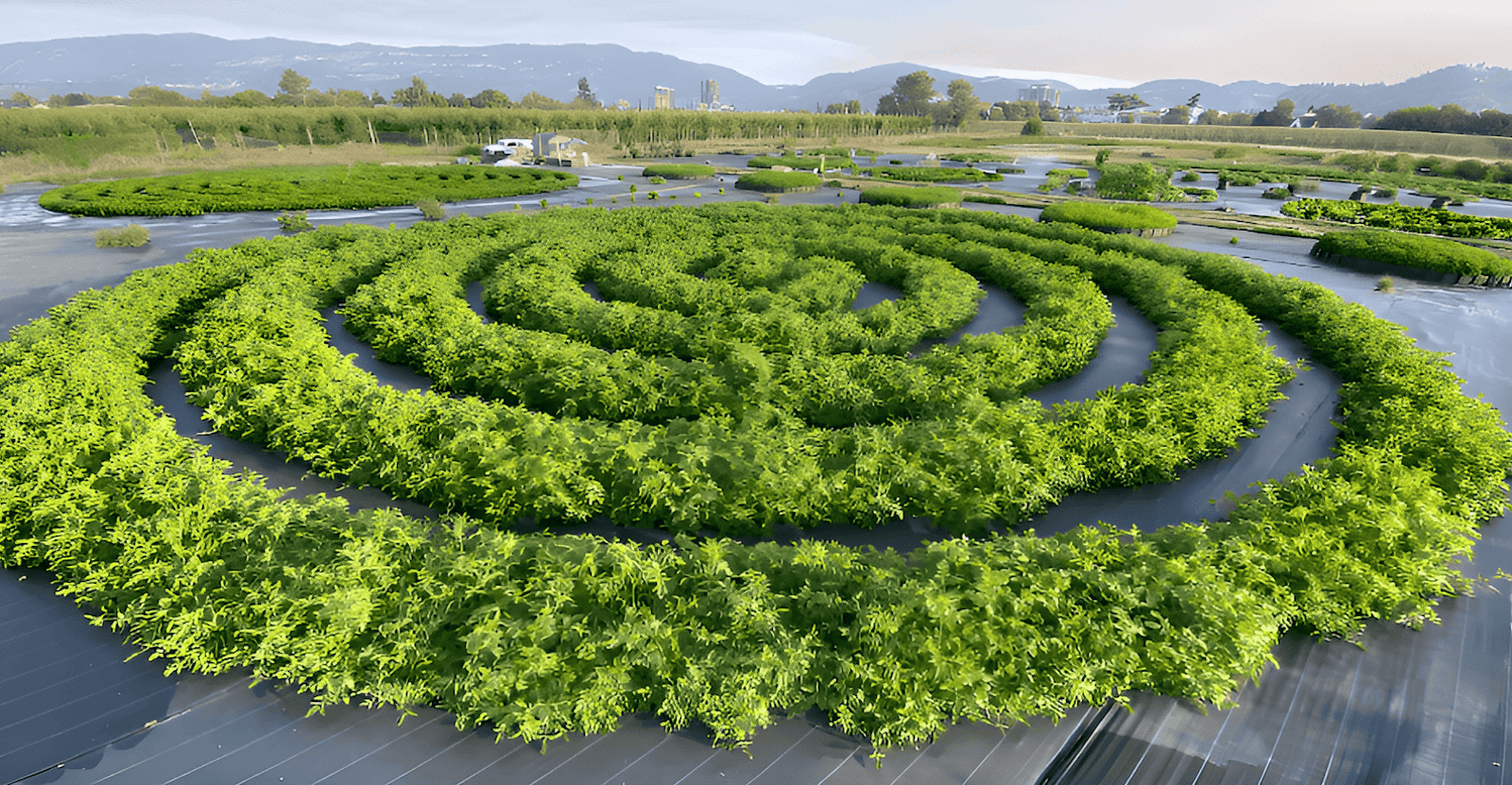 chimera community garden