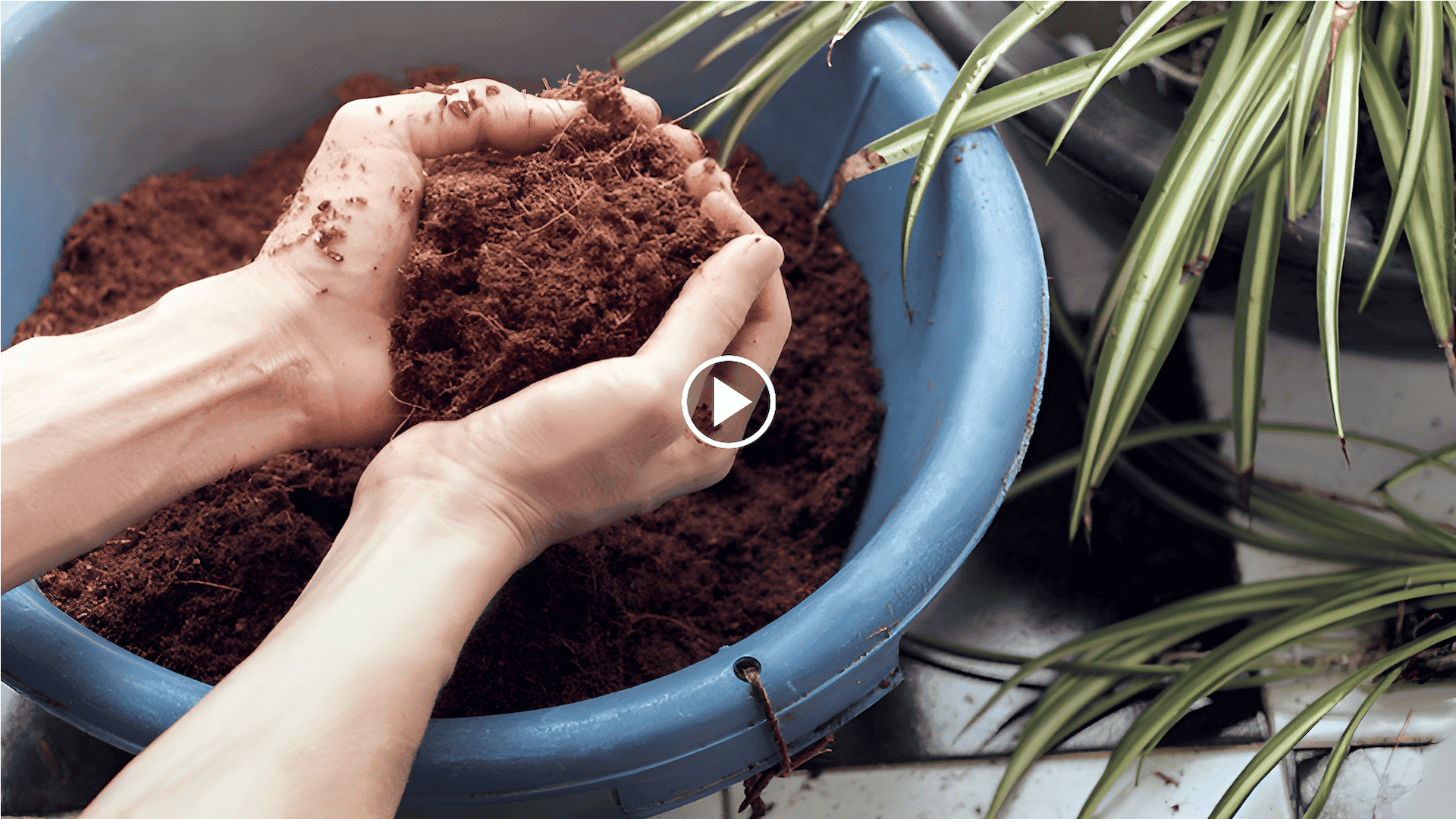 how to install a root tube