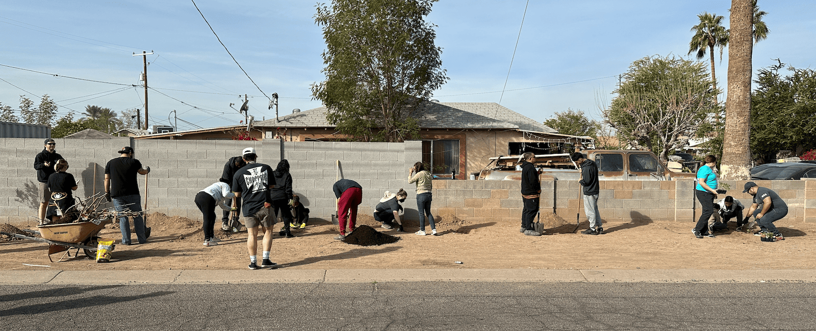 street by street food forest project