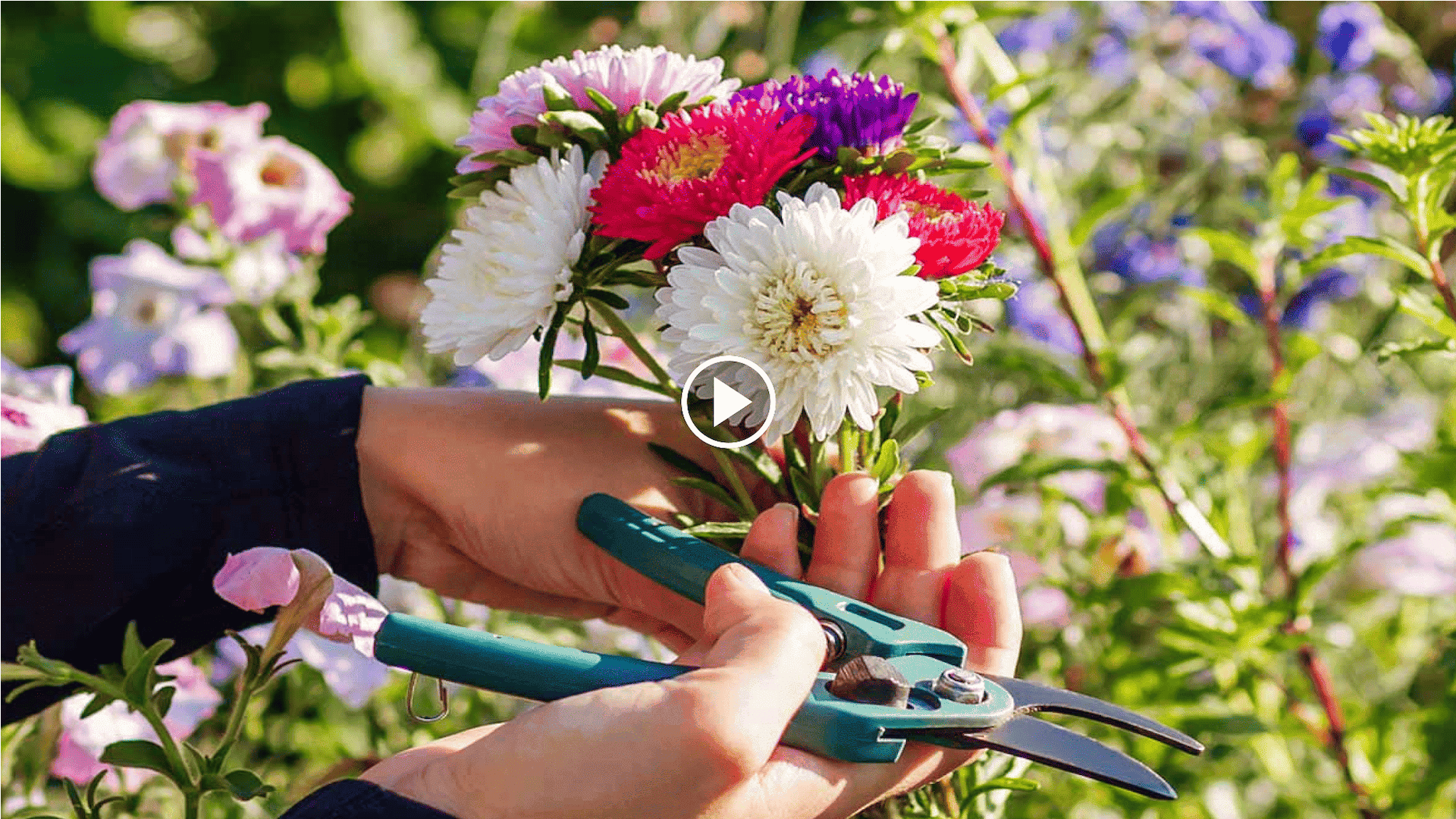 how to grow flowers in a container with a root tube