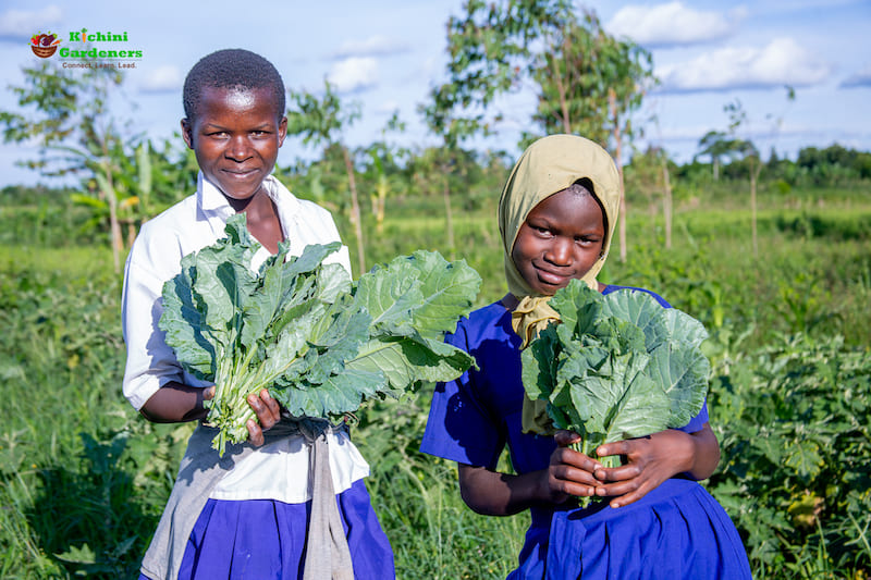 kichini gardens uganda