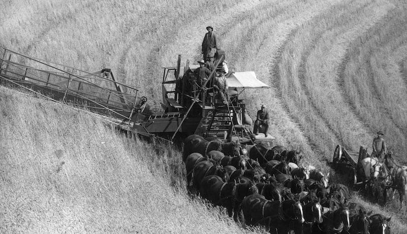 agricultura de la vieja escuela