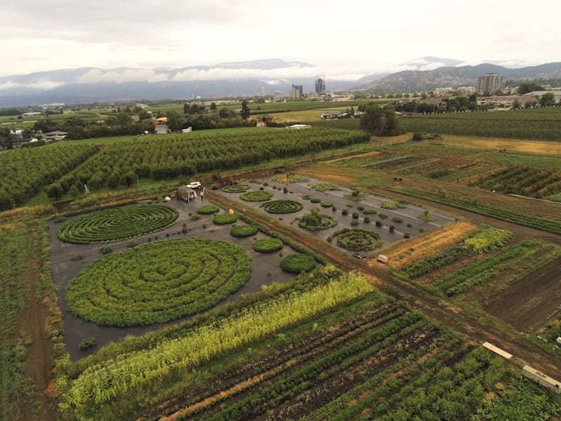 crecer para dar proyecto de granja en canadá