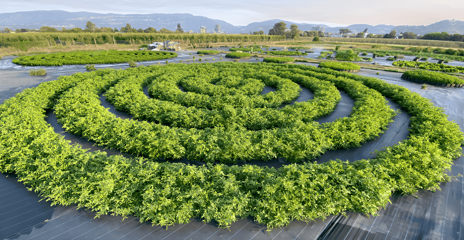 reimaginar el cultivo de alimentos