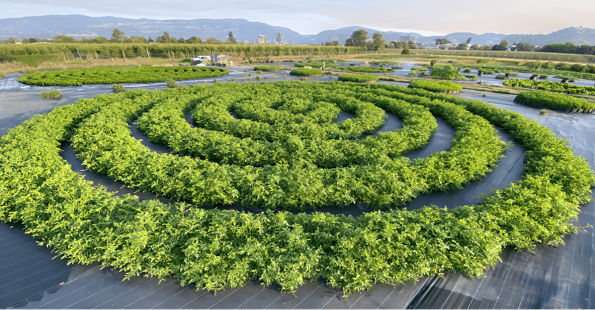 the spiral farm project